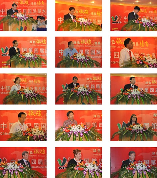 ↑ 國內(nèi)外(部分)專家做演講報告